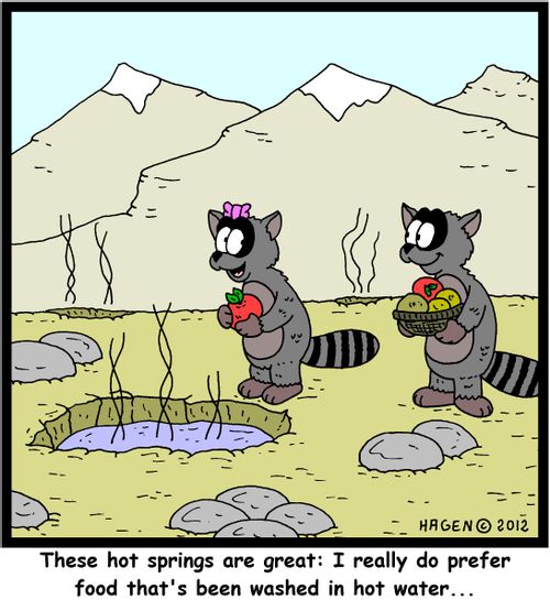 'These hot springs are great: I really do prefer food that's been washed in hot water...'
