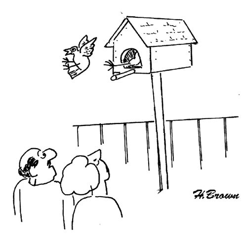 A bird is kicked out of the birdhouse by his wife.