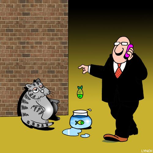 Man drops fish into a cats fish bowl.