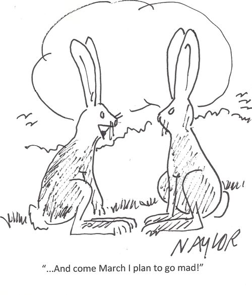'...and come March I plan to go mad!'