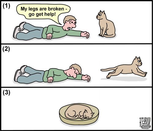 'My legs are broken - go get help!'