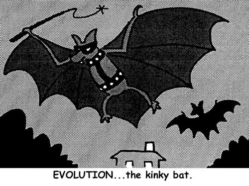 Evolution....the kinky bat.