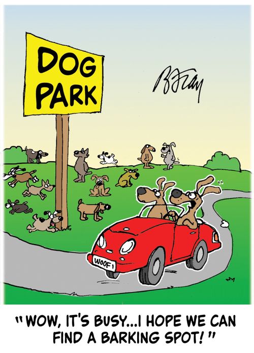 'Wow, it's busy...I hope we can find a barking spot!'