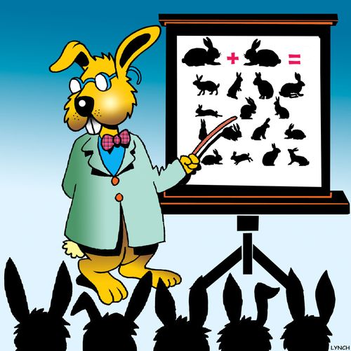 Rabbit Maths.
