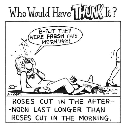 Roses cut in the afternoon last longer than roses cut in the morning.