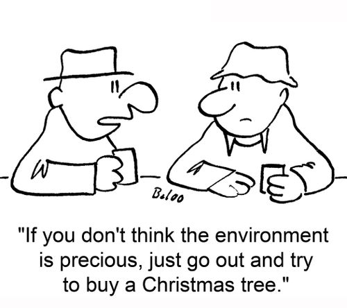 'If you don't think the environment is precious, just go out and try to buy a Christmas tree.'