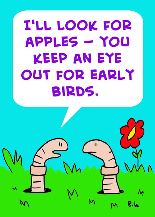 'I'll look for apples -- you keep an eye out for early birds.'