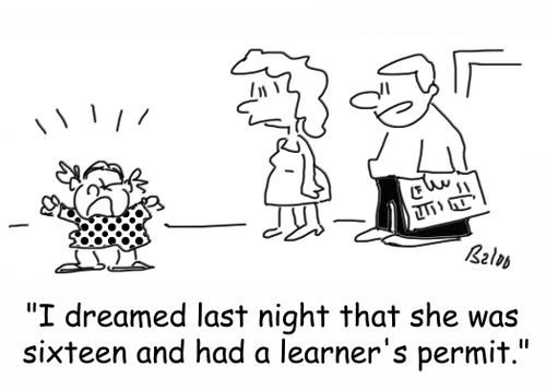 'I dreamed last night that she was sixteen and had a learner's permit.'