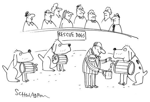 Rescue Dogs.