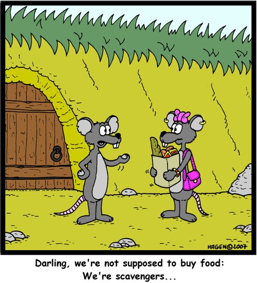 'Darling, we're not supposed to buy food: We're scavengers...'