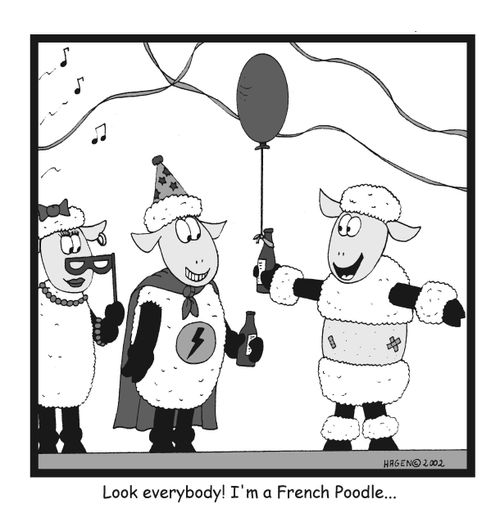 Look everybody! I'm a French Poodle