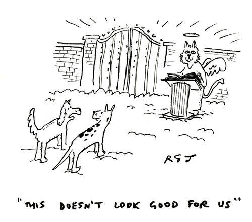 'This doesn't look good for us.'