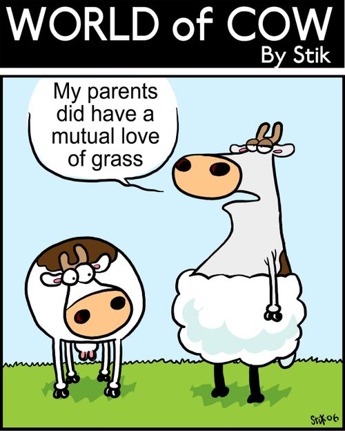 My parents had a mutual love of grass.