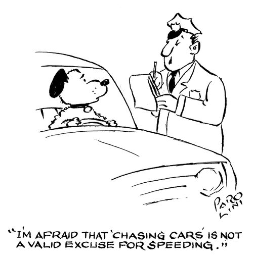 'I'm afraid that 'chasing cars' is not a valid excuse for speeding.'
