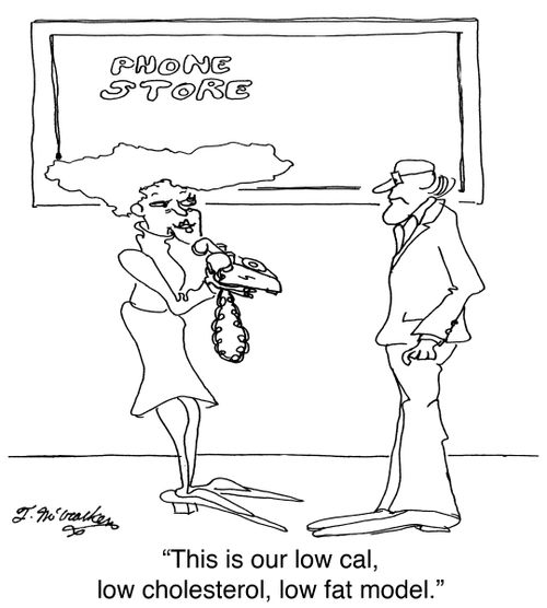 'This is our low cal, low cholesterol, low fat model.'