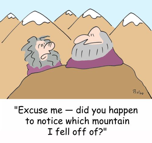 'Excuse me -- did you happen to noticed which mountain I fell off of?'