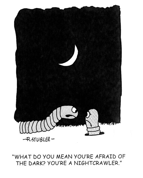 'What do you mean you're afraid of the dark? You're a nightcrawler.'