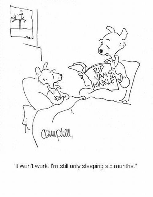 'It won't work. I'm still only sleeping six months.'