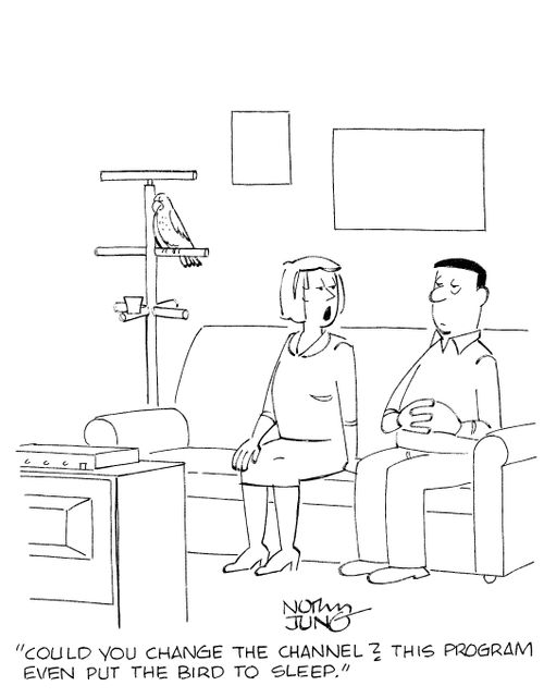 'Could you change the channel? This program even put the bird to sleep.'