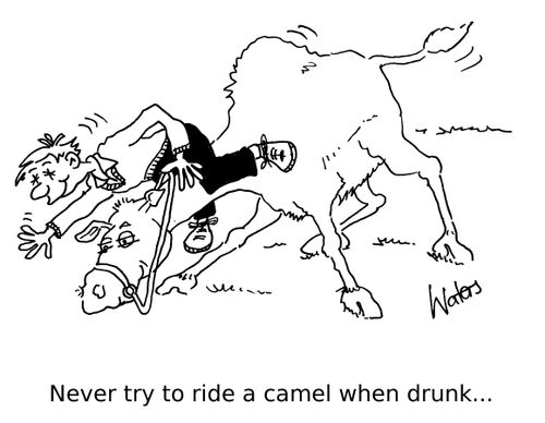 Never try to ride a camel while drunk...
