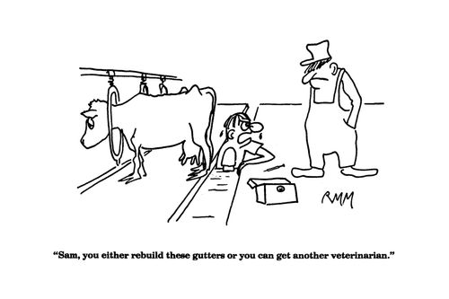 'Sam, you either rebuild these gutters or you can get another veterinarian.'