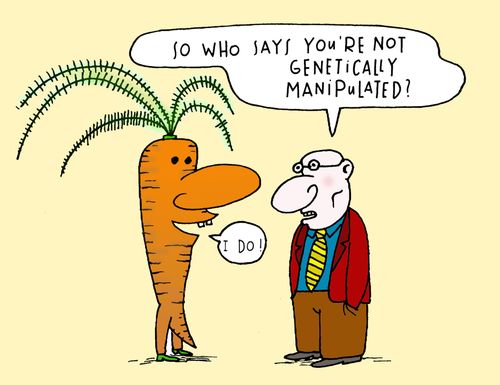 'Who says you're not genetically manipulated?'