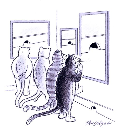 Cats in an art gallery looking at pictures of mouseholes.