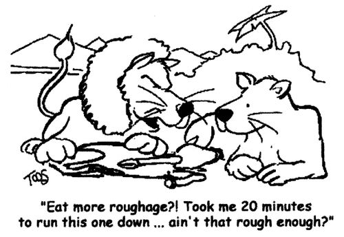 'Eat more roughage?! Took me 20 minutes to run this one down...ain't that rough enough?'