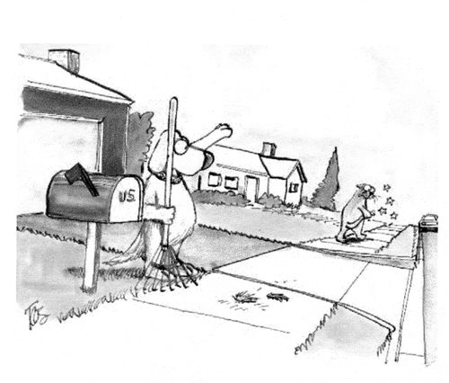 Dog attacking a cat's tail with a rake.