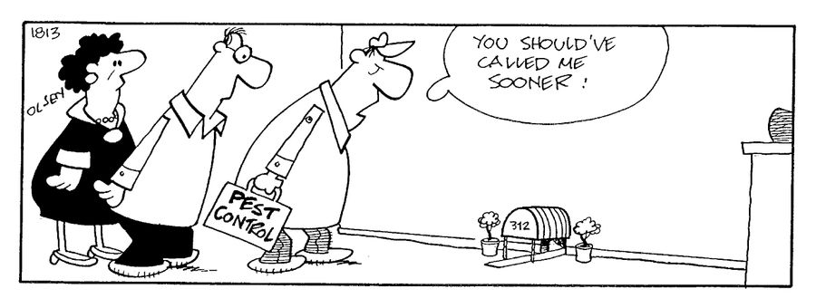 "You should've called me sooner!"