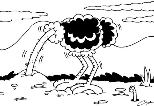 An ostrich with it's head buried in the sand