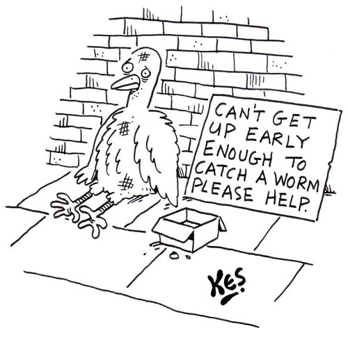 Bird is begging near sign that reads; 'Can't get up early enough to catch a worm. Please help.'
