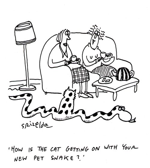 'How is the cat getting on with your new pet snake?'