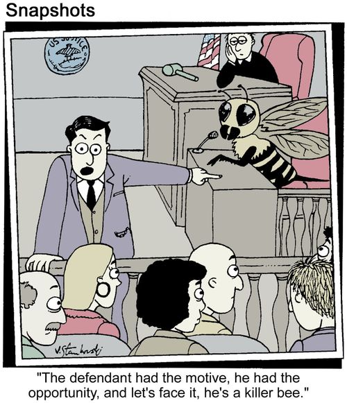 Attorney and killer bee.