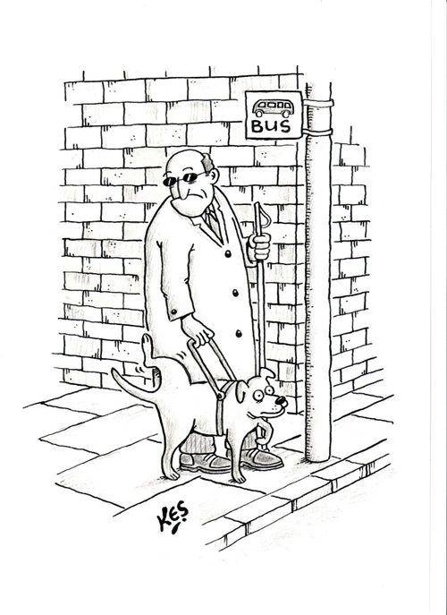 Guide dog urinates on owner's leg.