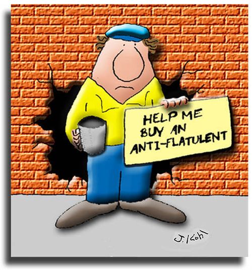 Help me buy an Anti-flatulent.