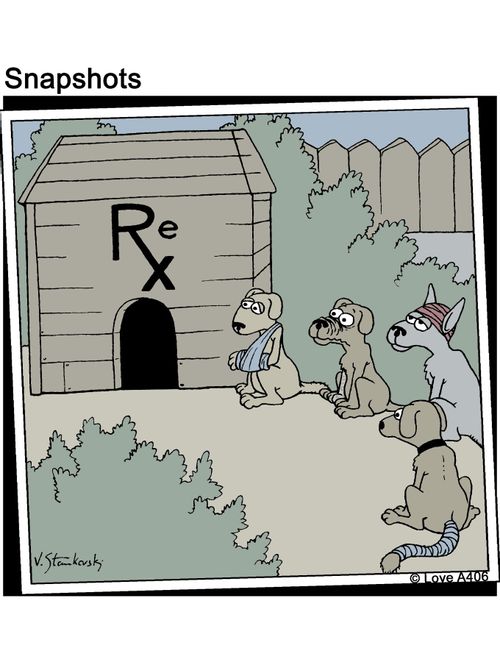 Calling on Rex.