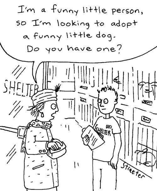 "I'm a funny little person so I'm looking to adopt a funny little dog.  Do you have one?"