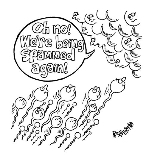 'Oh no! We're being spammed again!'