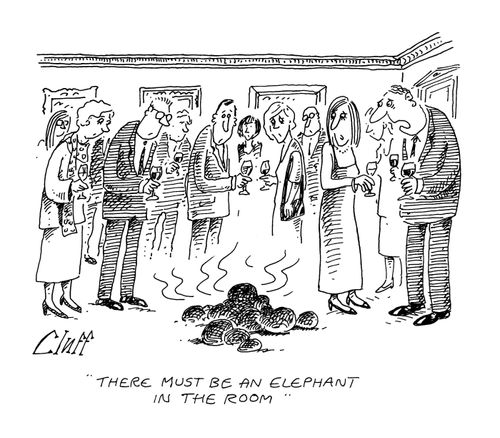 'There must be an elephant in the room.'