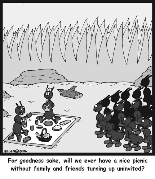 "For goodness sake, will we ever have a nice picnic without family and friends turning up uninvited?"