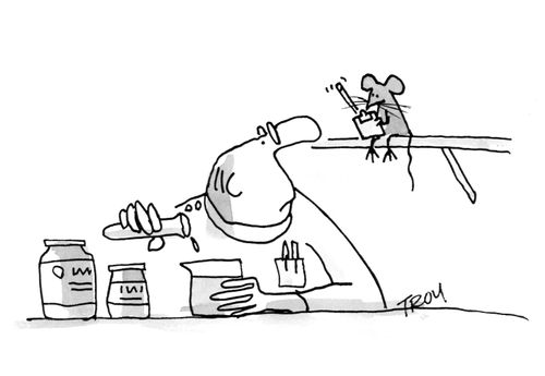 Animal Testing.