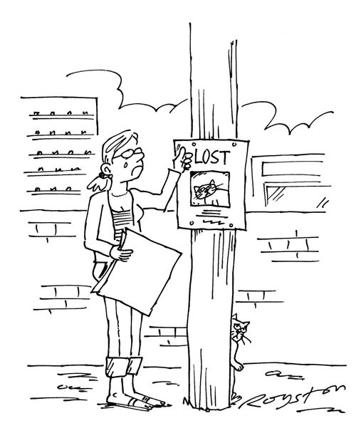 Woman pins up a Lost Cat poster on a telegraph pole, but the cat is hiding from her behind the pole.