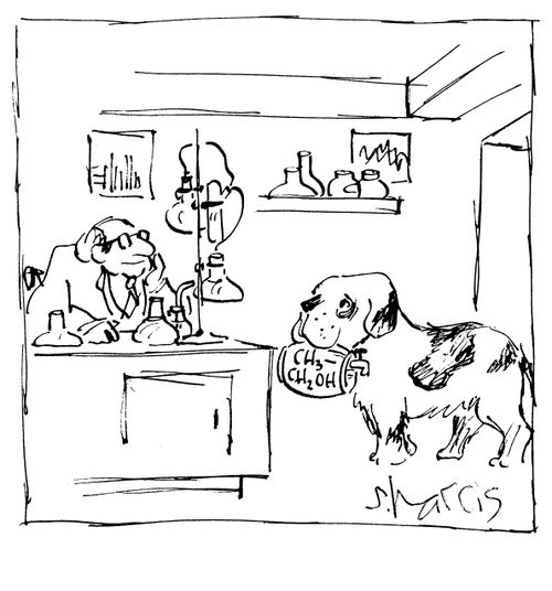 Dog helping scientist.