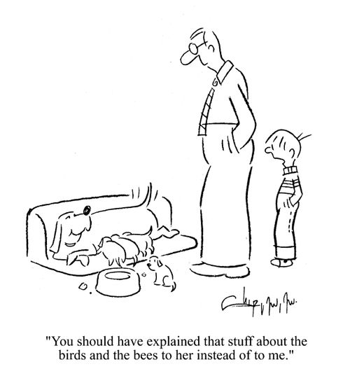 'You should have explained that stuff about the birds and the bees to her instead of me.'