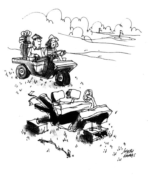 Golfers find golf cart reck