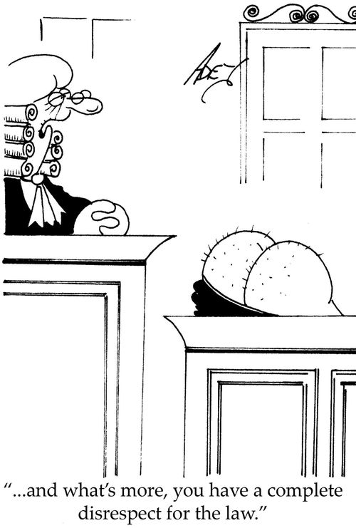 "And what's more, you have a complete disrespect for the law."
