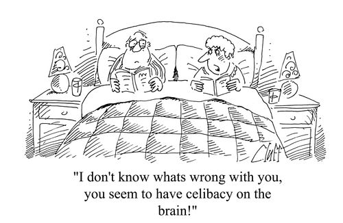 'I don't know what's wrong with you, you seem to have celibacy on the brain!'