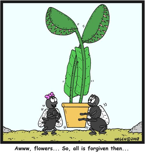 'Awww, flowers... So, all is forgiven then...'