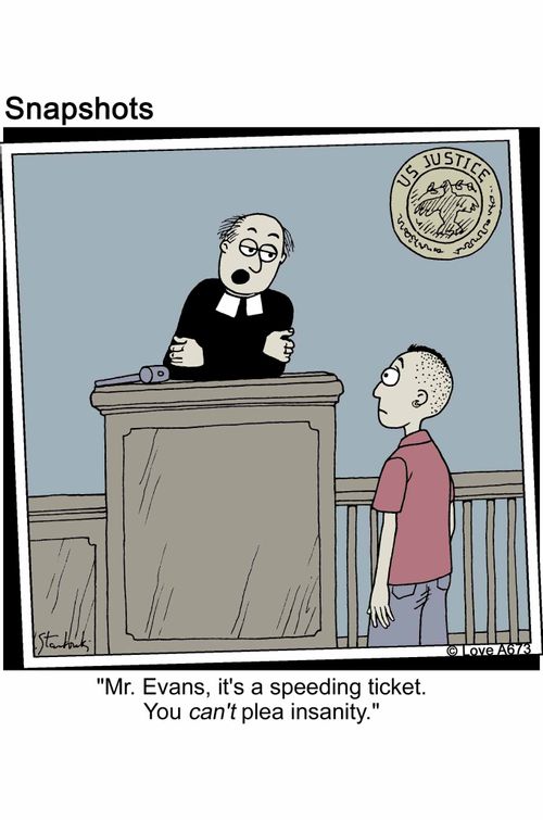 'Mr. Evans, it's a speeding ticket. You can't pleas insanity.'
